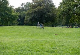 inngau trachtler (3)