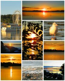 kl-200825_091716_COLLAGE-1