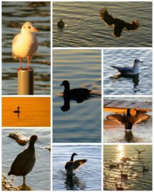 kl-200825_091914_COLLAGE-1