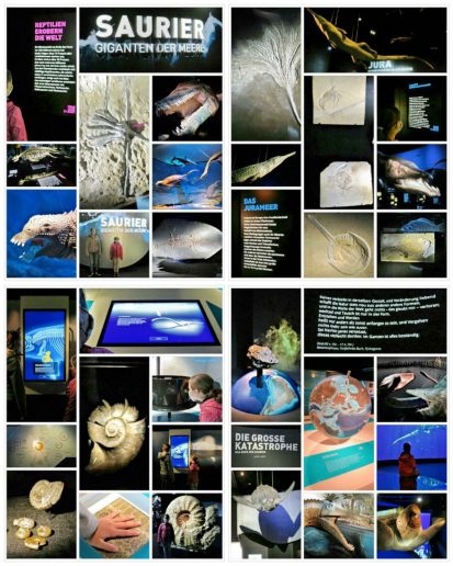 kl-200829_203729_COLLAGE-1