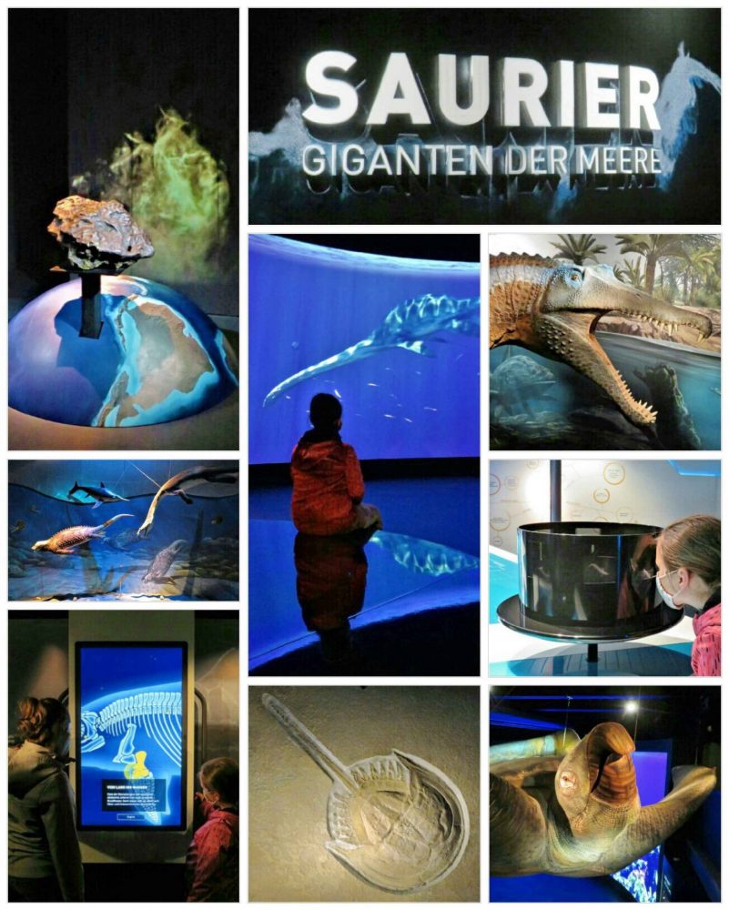 kl-200829_204830_COLLAGE-1