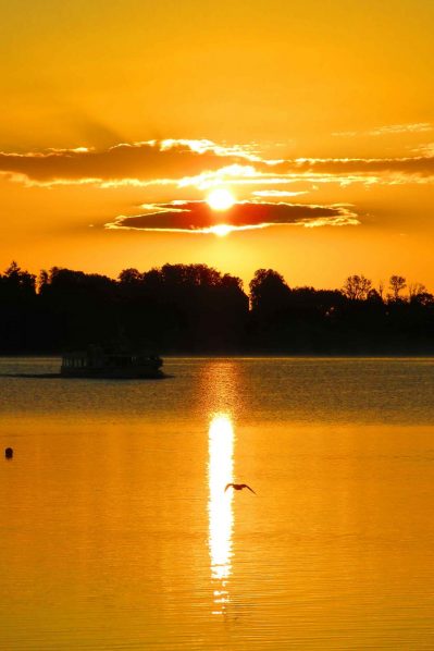 kl-20200825063407_IMG_2453~2