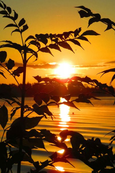 kl-20200825063612_IMG_2461~2