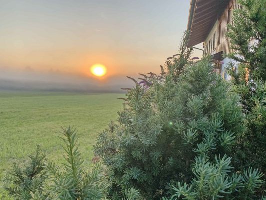 kl-Guten Morgen Prutdorf 2