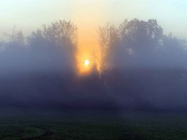 kl-Guten Morgen Prutdorf 3