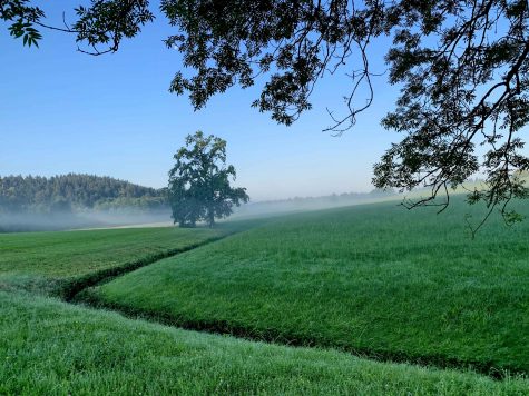 kl-Guten Morgen Stetten 2
