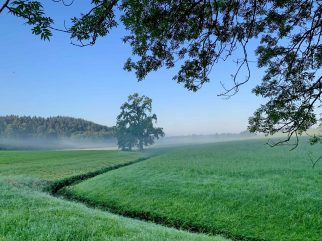 kl-Guten Morgen Stetten