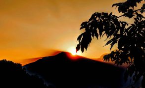 kl-IMG_20200728_064707~2