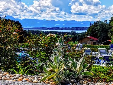 kl-IMG_20200819_125712~3