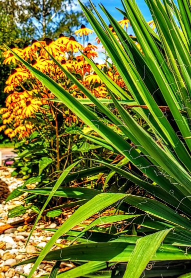 kl-IMG_20200819_125837~2