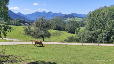 kl-IMG_20200820_131642