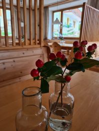 015e5531-9edf-4ab0-b48f-d9aa2772eef9