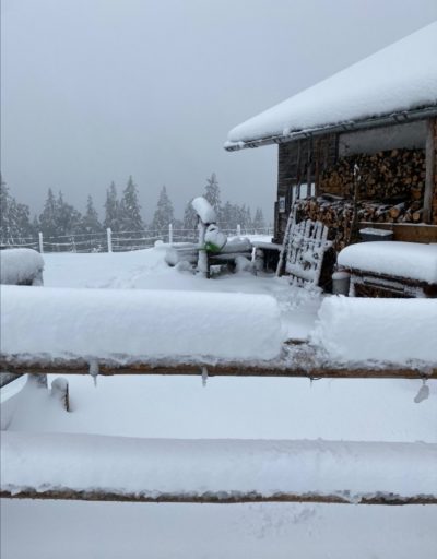 06ee5e64-5632-4e1f-941d-660c1f771a4a