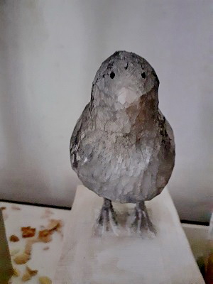 20200621_171958 - Kopie