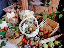 20200926_085231_resized