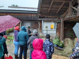 20200926_114220_resized