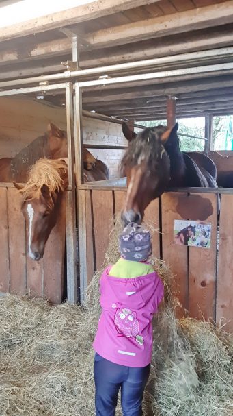 20200926_121151_resized