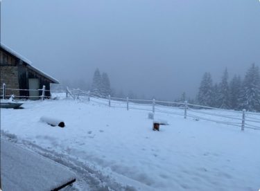 4ae10fc5-6b55-43f3-826c-d8fa945a4f13