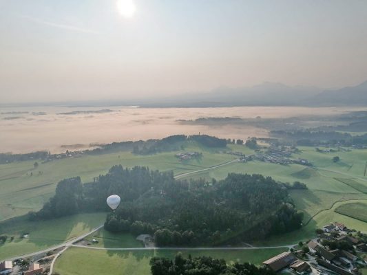 8143d42c-a0f2-4894-9026-c5ac748b97f6