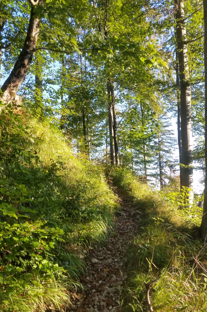 AktNatBeo-200927-ja-2_Wegimpression