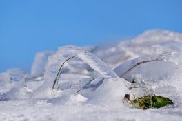 AktNatBeo-200927-ja-7_Frost-1140pix