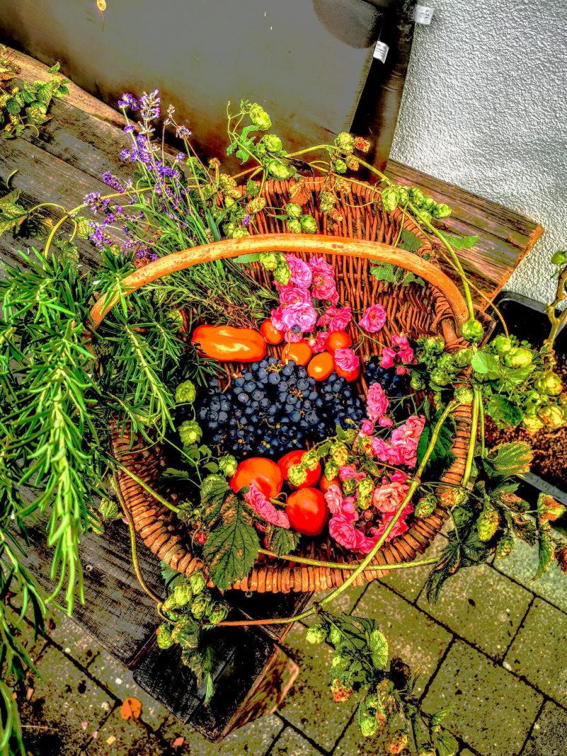 Erntedank vom Hausgarten.hoch