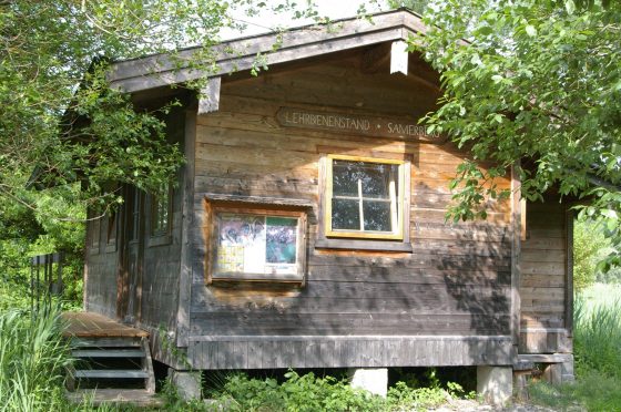 Foto Lehrbienenstand