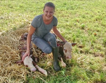 Mit Kälber-Zwillinge