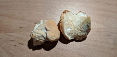 Semmelstoppelpilz (3)