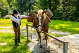 ZeitreiseBayern-1060984