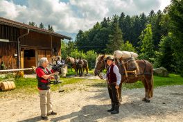 ZeitreiseBayern-1070079