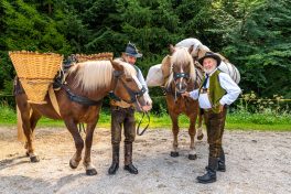 ZeitreiseBayern-1070143