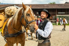 ZeitreiseBayern-1070170