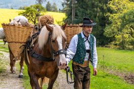 ZeitreiseBayern-1070274