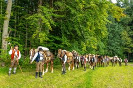 ZeitreiseBayern-1070296