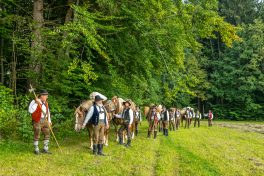 ZeitreiseBayern-1070313