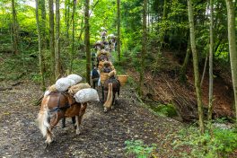 ZeitreiseBayern-1070399