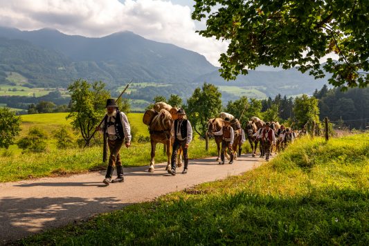 ZeitreiseBayern-1070408
