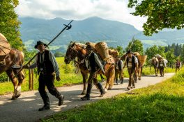 ZeitreiseBayern-1070421