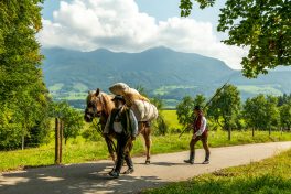 ZeitreiseBayern-1070429