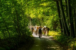 ZeitreiseBayern-1070439