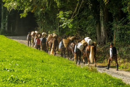 ZeitreiseBayern-1070446