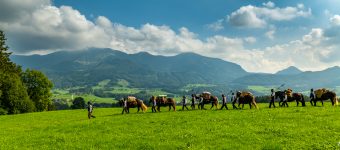 ZeitreiseBayern-1070476