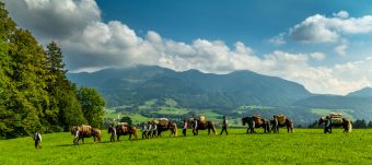 ZeitreiseBayern-1070482