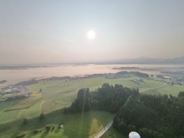 aa5775dc-6030-4c54-a1f5-2263ec948a01