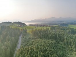 b27c897e-7d71-4b7d-b403-63c63ce0937d