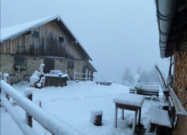 ea189e6a-0aad-4501-9312-d831df71ccbd