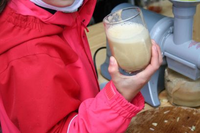 kl-Apfelsaft selbstgepresst