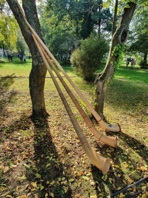 20201003_150850_HelAmb_mk