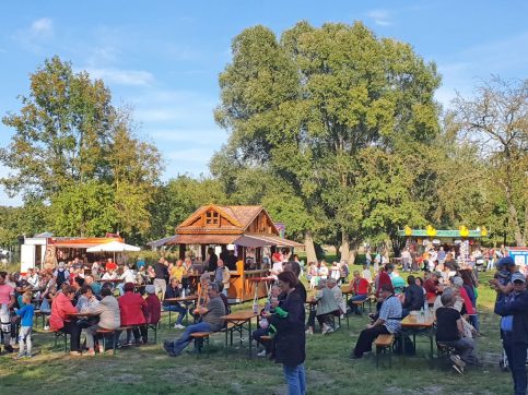 20201003_151053_HelAmb_mk